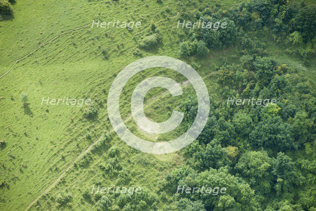 Chalk military badge of the 7th (City of London) Battalion, near Sutton Down, Wiltshire, 2016 Creator: Historic England Staff Photographer.