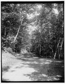 Leslie Ave., Mackinac Isl'd, between 1890 and 1901. Creator: Unknown.