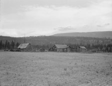 Partially-developed stump ranch seen across cleared grain field, Boundary County, Idaho, 1939. Creator: Dorothea Lange.