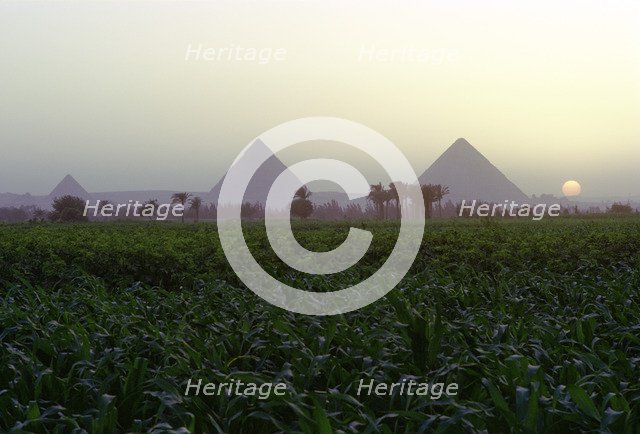 Pyramids of Giza at sunset, Egypt. Artist: Dr Stephen Coyne