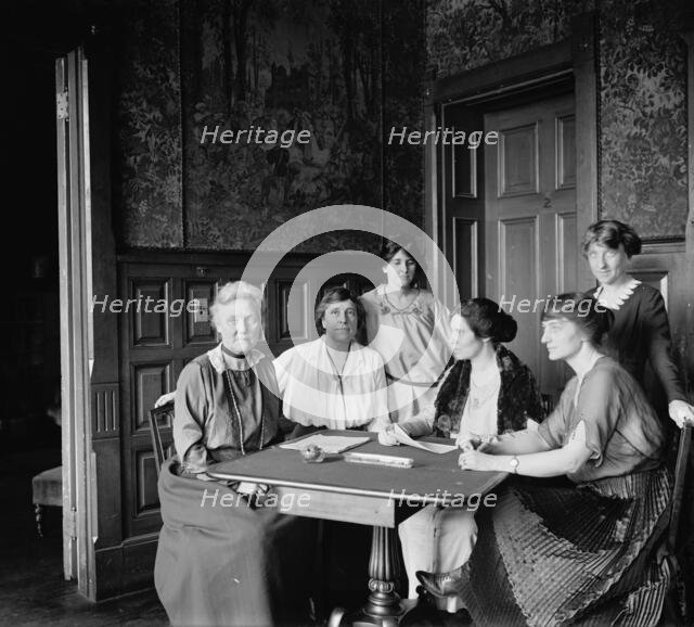 National Woman's Party Exec. group, between 1910 and 1920. Creator: Harris & Ewing.