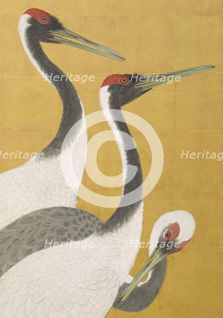 Cranes (image 7 of 20), An'ei period (1772-1780). Creator: Maruyama Okyo.
