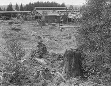 Possibly: Mumby Lumber Mill, closed in 1938..., Malone, Grays Harbor County, Washington, 1939. Creator: Dorothea Lange.