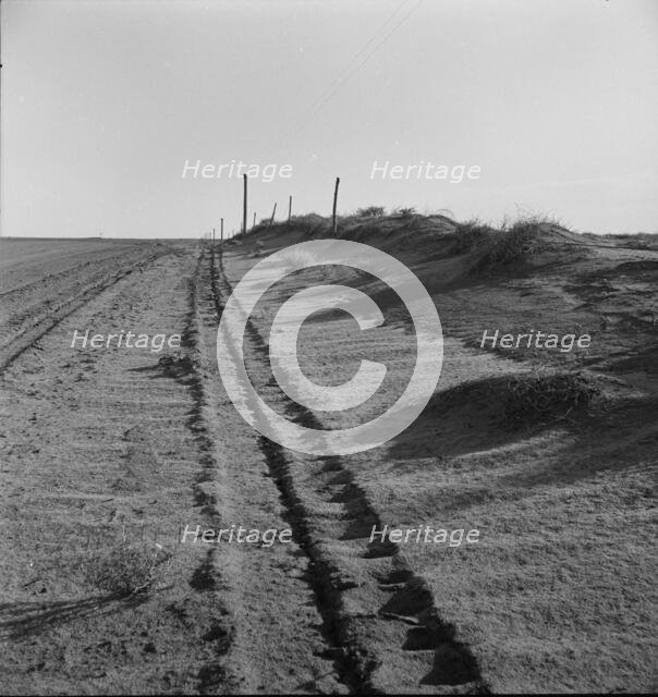 Sand drift along fence, Dust Bowl, north of Dalhart, Texas, 1938. Creator: Dorothea Lange.