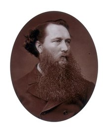 Vicat Cole, landscape painter, 1881. Creator: Lock & Whitfield.