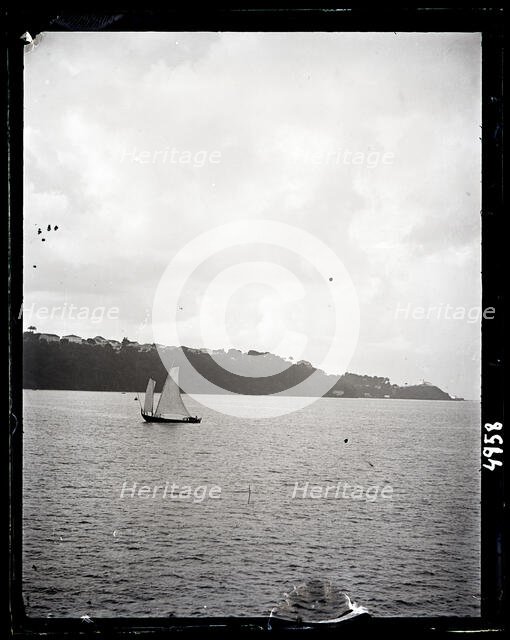 United States Fish Commission Steamer "Albatross" Circumnavigation of South America, 1888. Creator: United States National Museum Photographic Laboratory.