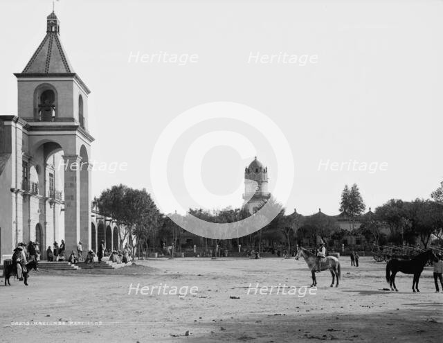 Hacienda Peotillos, between 1880 and 1897. Creator: William H. Jackson.