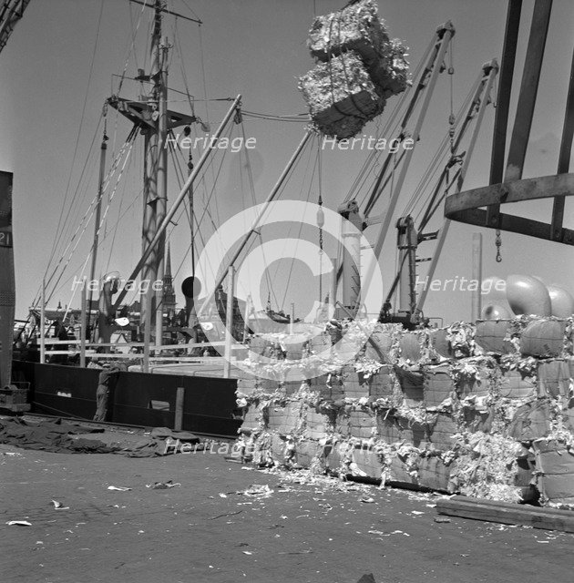 Loading pulp, Stockholm harbour, Sweden, 1950. Artist: Torkel Lindeberg