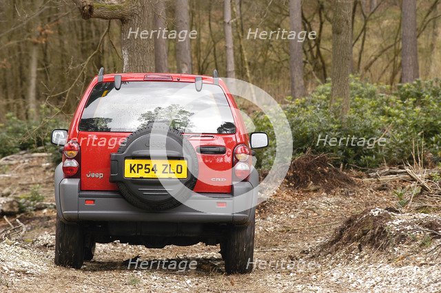 2004 Jeep Cherokee Artist: Unknown.