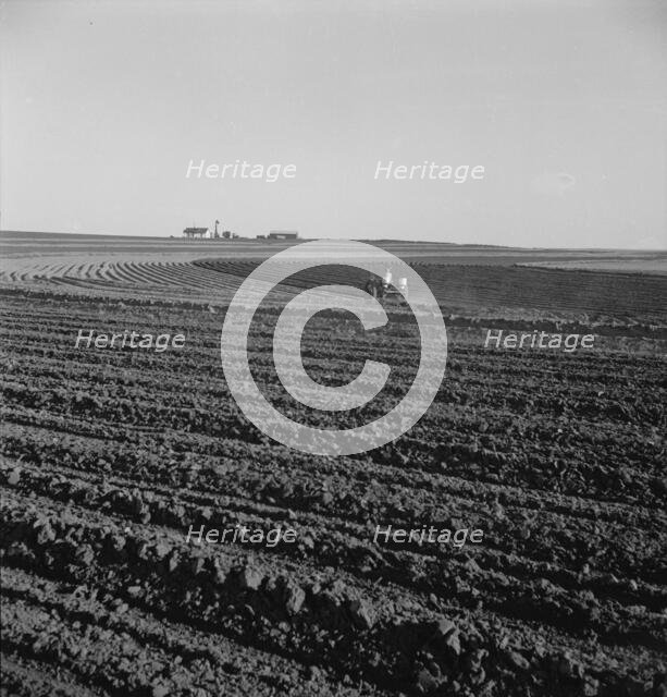 Contour plowing on mechanized farms, Childress County, Texas Panhandle, Texas, 1938. Creator: Dorothea Lange.
