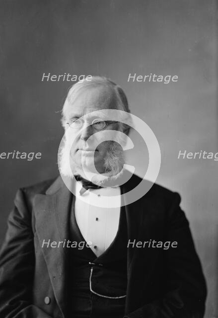Senator Hoar of Mass., between 1870 and 1880. Creator: Unknown.