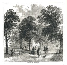 Gray's Inn Gardens, 1878. Artist: Unknown