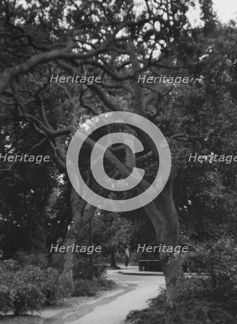 San Francisco views, 1927 Creator: Arnold Genthe.