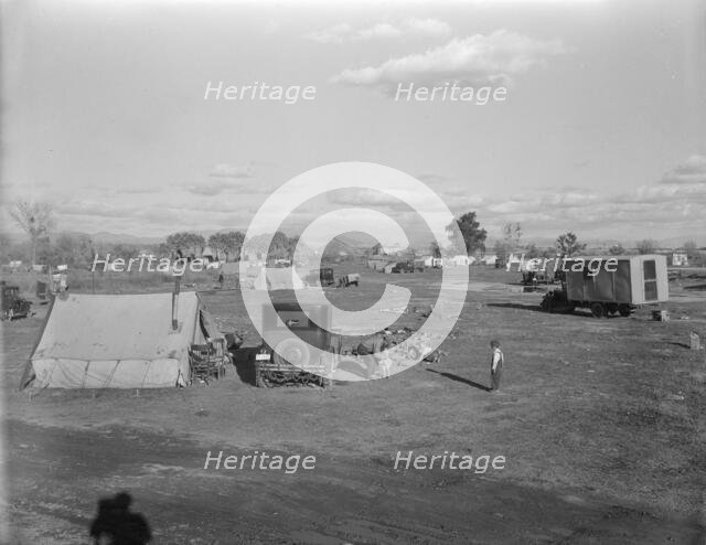 Hooverville of Bakersfield, California, 1936. Creator: Dorothea Lange.