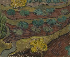 Olive Trees on a Hillside , 1889. Creator: Gogh, Vincent, van (1853-1890).