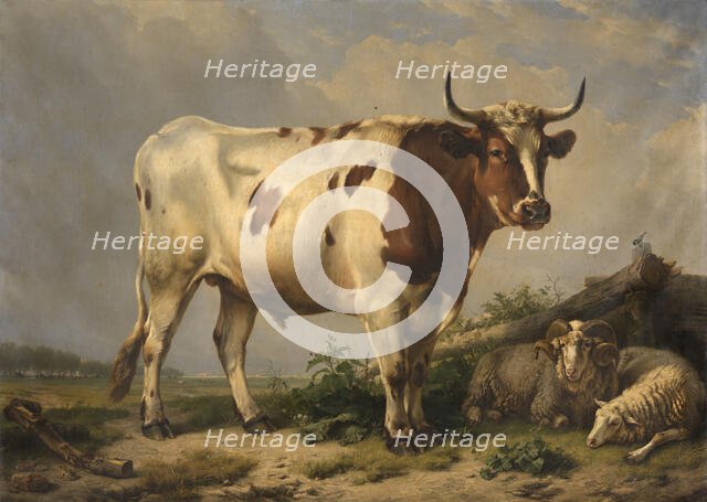 Bull, 1847. Creator: Eugène Verboeckhoven.