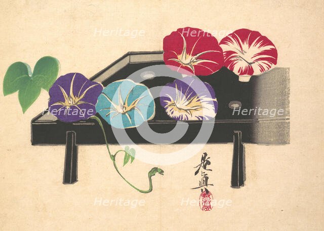Morning Glories, ca. 1860., ca. 1860. Creator: Shibata Zeshin.