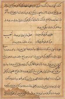 Page from Tales of a Parrot (Tuti-nama): text page, c. 1560. Creator: Unknown.