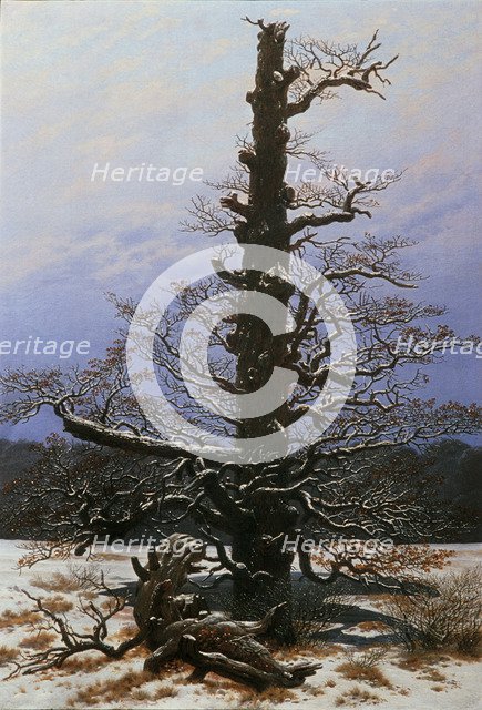 Oak Tree in the Snow. Artist: Friedrich, Caspar David (1774-1840)