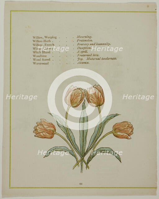Decorative Illustration, from The Illuminated Language of Flowers, published 1884. Creators: Edmund Evans, Catherine Greenaway.
