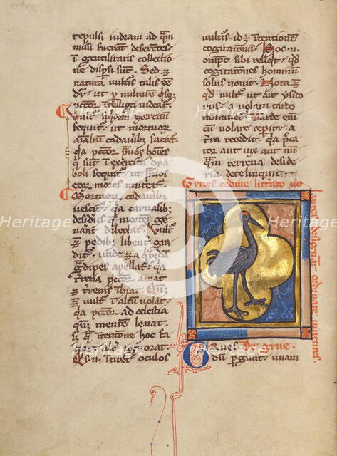 A Crane; Bestiary, about 1270. Creator: Unknown.