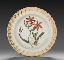 Plate from Dessert Service: Chinese Ixia, c. 1800. Creator: Derby (Crown Derby Period) (British).