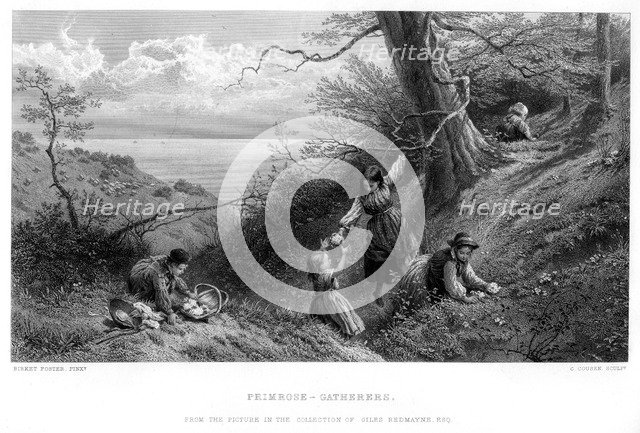 'Primrose Gatherers', 1930s.Artist: C Cousen