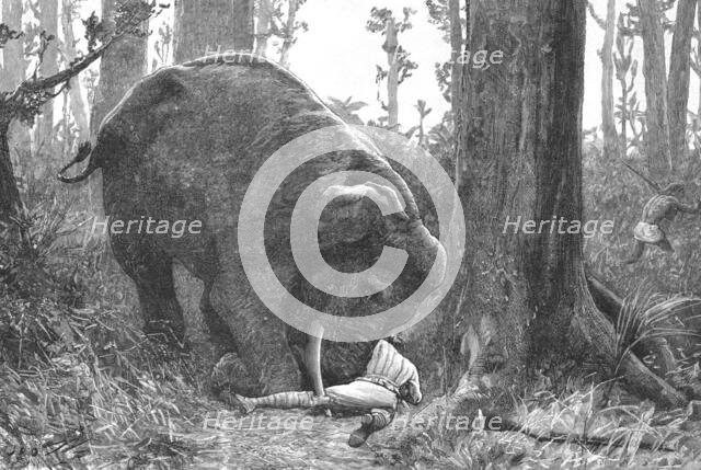''The Dangers of Elephant Shooting -- Captain Peterson's Hunting Accident in the Malay Peninsula', 1 Creator: Unknown.