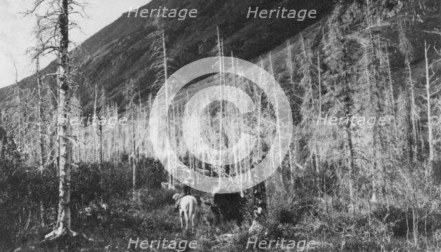 Trail to Sunrise, between c1900 and 1916. Creator: Unknown.