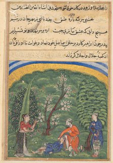 Page from Tales of a Parrot (Tuti-nama): second night: The sentinel in the employ…, c1560. Creator: Unknown.