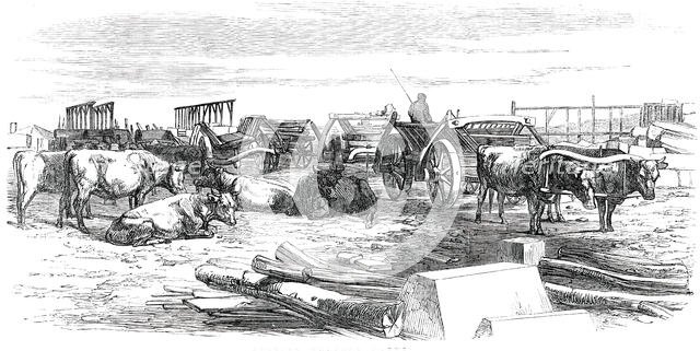 Russian Bullock Carts, 1850. Creator: Unknown.