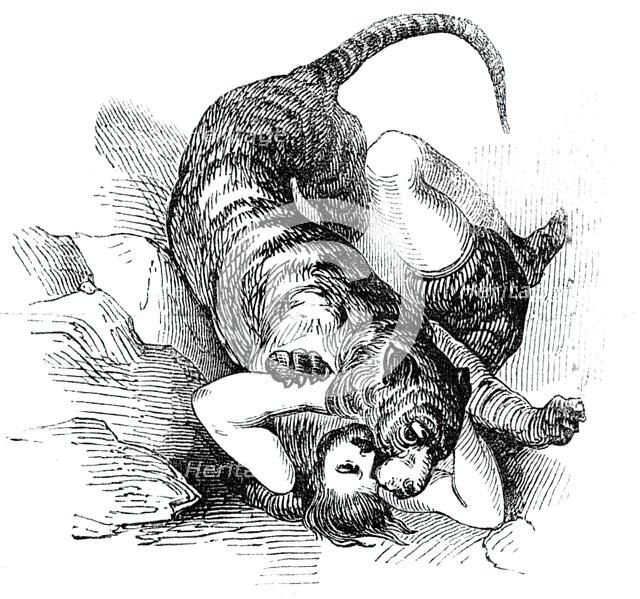 Carter's Tiger Feat, 1844. Creator: Unknown.