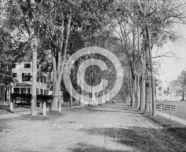 North Main Street, Dartmouth College, ca 1900. Creator: Unknown.