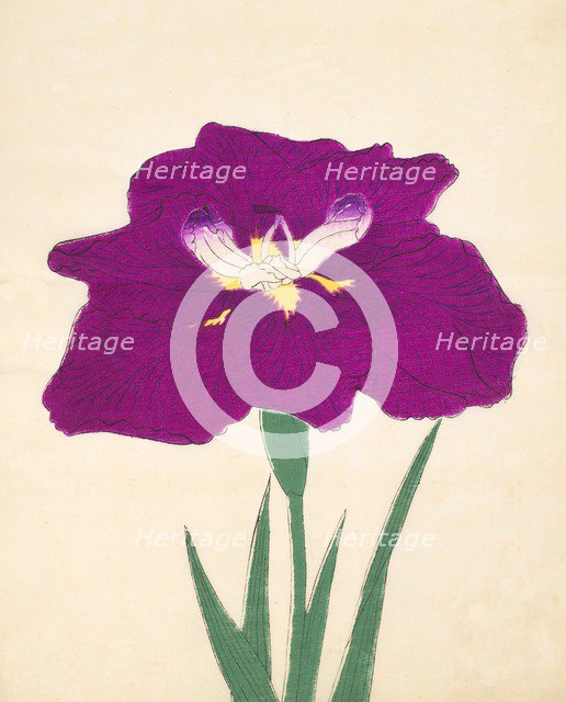 Hizume-No-Hyoshi, No. 29, 1890, (colour woodblock print)