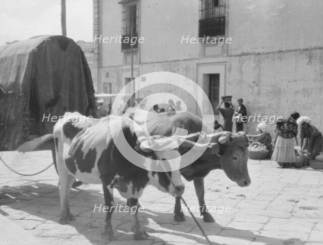 Travel views of Cuba and Guatemala, between 1899 and 1926. Creator: Arnold Genthe.