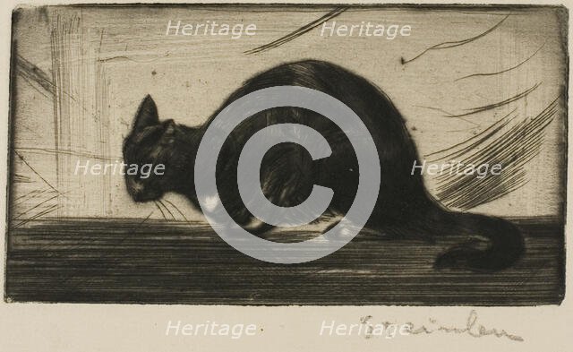 Cat Arching Its Back, 1898. Creator: Theophile Alexandre Steinlen.