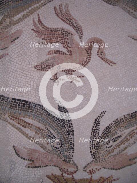 Mosaic, El Jem Museum, El Djem, Tunisia, 2009. Creator: Amanda Waite.