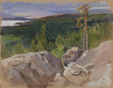 Study from Koli, 1895. Creator: Eero Jarnefelt.