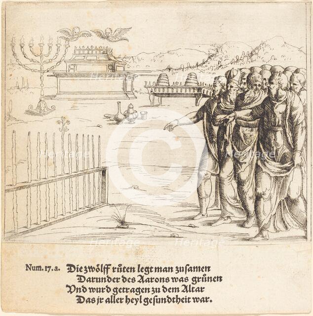 The Blossoming of Aaron's Rod. Creator: Augustin Hirschvogel.