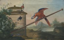 Birds, 1750s. Creator: Johan Pasch.