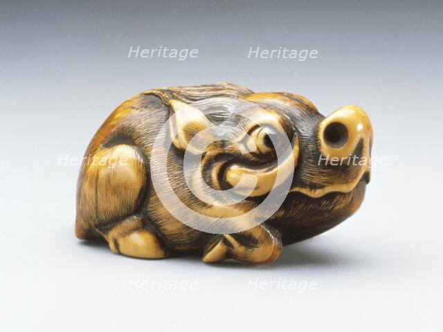 Wild Boar, 18th century. Creator: Unknown.