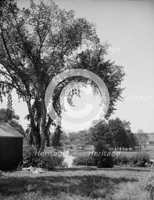 A Glimpse of the Resumpscot [sic] River, Riverton Park, Portland, Me., between 1900 and 1915. Creator: Unknown.