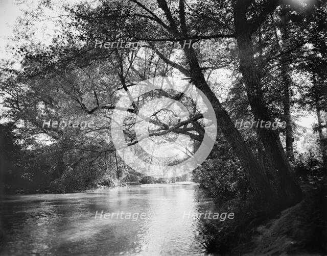 The Swannanoa near Kenilworth Inn, Asheville, N.C., between 1895 and 1910. Creator: Unknown.