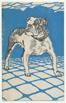 Bulldog, 1912. Creator: Moritz Jung.