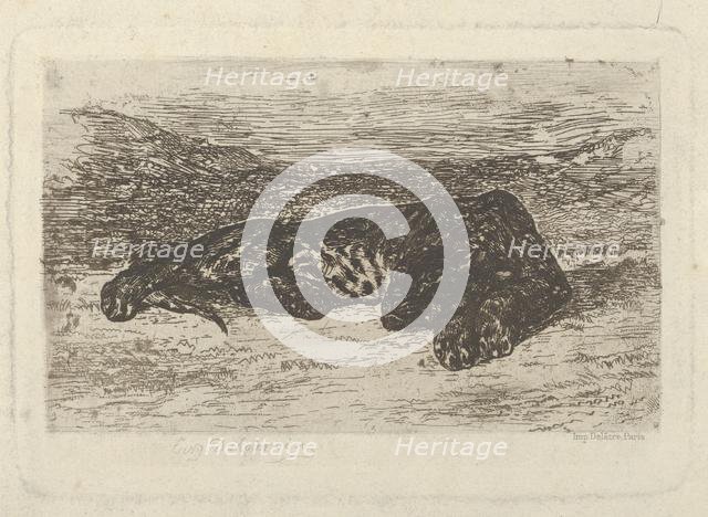 Tiger Lying in the Desert, 1846 (?)., 1846 (?). Creator: Eugene Delacroix.