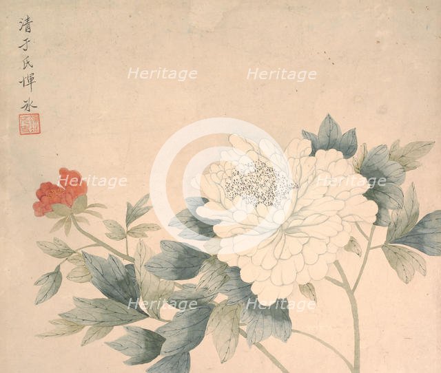 Flower Study, 17th century. Creator: Yun Bing.