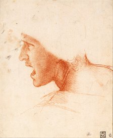 Study of a Warrior's Head for the Battle of Anghiari. Artist: Leonardo da Vinci (1452-1519)