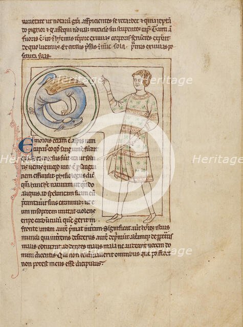 An Emorois; Northumberland Bestiary, about 1250-1260. Creator: Unknown.