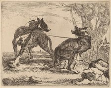 Two Greyhounds, Leashed and Facing Each Other, 1640. Creator: Jan Fyt.