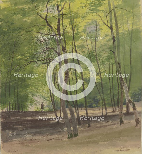 Forest near Braunfels, 1855. Creator: Carl Theodor Reiffenstein.
